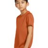 Nike Youth Legend Tee