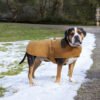 CARHARTT Carhartt® Dog Chore Coat