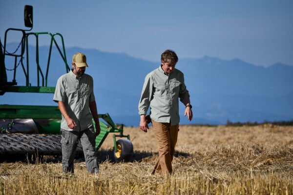 Carhartt Carhartt Force® Sun Defender™ Long Sleeve Shirt