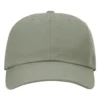Sustainable Ashland Dad Hat - 254RE