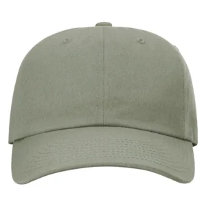 Sustainable Ashland Dad Hat - 254RE