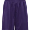 Mini Mesh 9'' Inseam Shorts - 7239