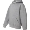 Youth Hooded Sweatshirt - 2254