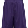 Mini Mesh 9'' Inseam Shorts - 7239