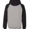 65798_b_fl Unisex Dri Power® Colorblock Raglan Hooded Sweatshirt - 693HBM