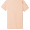 BELLA+CANVAS® Unisex Triblend Short Sleeve Tee (A)