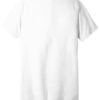 BELLA+CANVAS® Unisex Triblend Short Sleeve V-Neck Tee