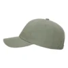 Sustainable Ashland Dad Hat - 254RE
