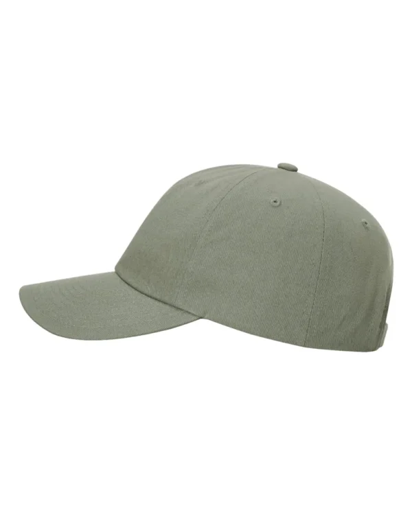 Sustainable Ashland Dad Hat - 254RE