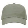 Sustainable Ashland Dad Hat - 254RE