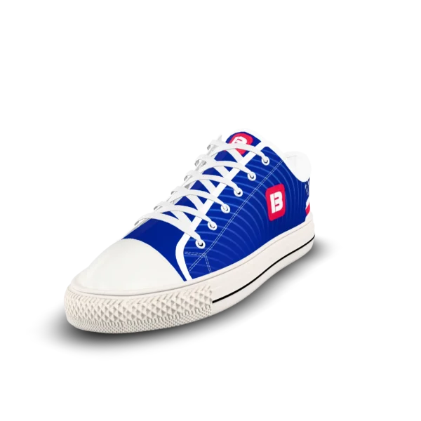 imageye___-_imgi_6_ccfb69fb-option_0_-145deg75deg CANVAS LOW