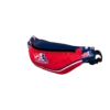 FANNY PACK BAG