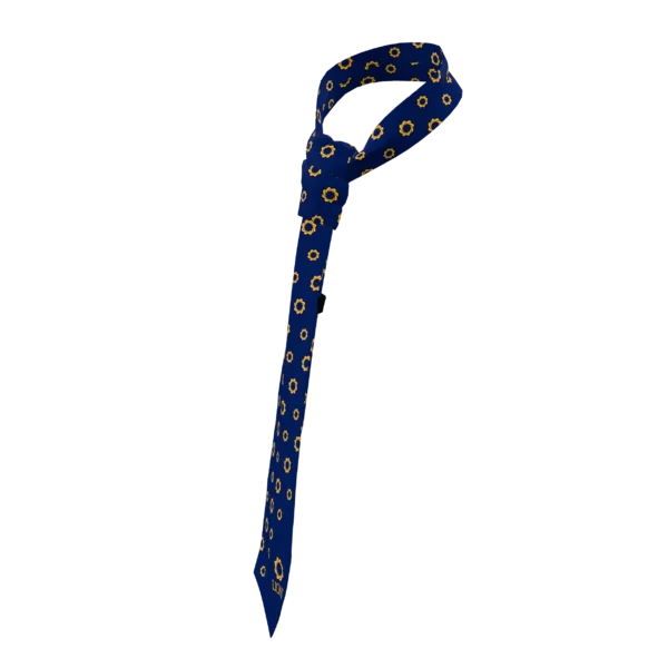 imgi_11_e7336e19-pr244_option_0_45deg75deg GRAPHIC TIES