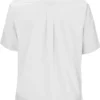 PINPOINT OXFORD SHORT SLEEVE MENS SHIRT